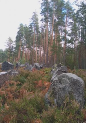 №46 Расслабление и гармонизация структур мышц