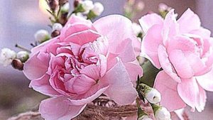 Добрый День - Позитив для Друзей