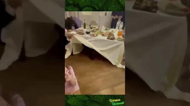 Когда очень нужно замуж