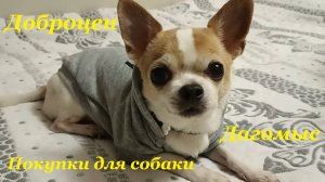 Идём со школы🎒 / Новый магазин Доброцен🛍 / Покупки для собаки🐶 / Много болтовни🤪 / Дагомыс