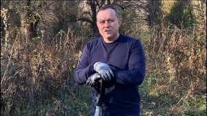 ДЕВЯСИЛ. Уникальное растение! Ч.1