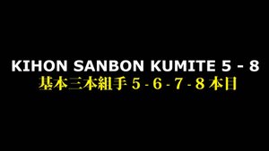 Вадо-рю Кихон-санбон кумитэ 5-6-7-8