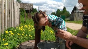 Поездка в гости. Вкусное масло с авокадо.