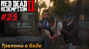 Трелони в беде l Прохождение Red Dead Redemption 2 l Часть 25