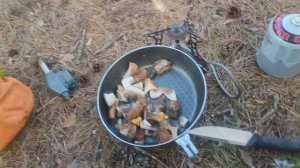 2024 год Июль. 07