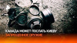 Отправку на Украину запрещенного оружия допустили в Канаде — западные СМИ / РЕН Новости