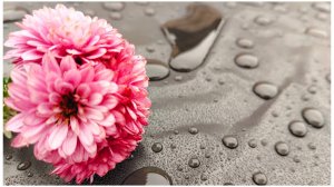 Зачем!?Кубань.Декабрь.Стройка.
Порадовали себя.