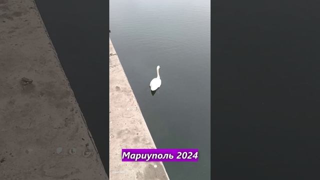 Мариуполь 2024.  Парк Гурова. Река Кальчик.