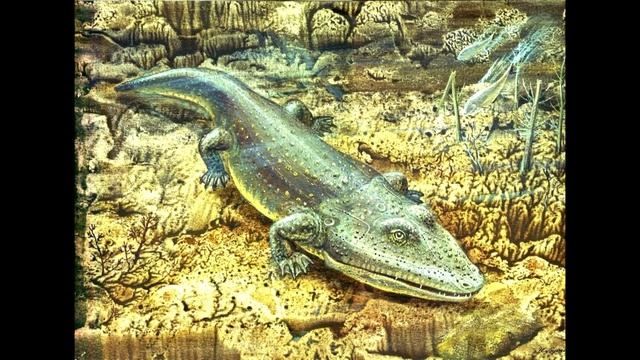 The History of paleoillustrations:Мastodonsaurus смотреть онлайн