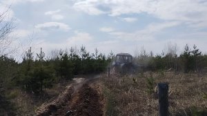 Работы по прочистке противопожарных минерализованных полос