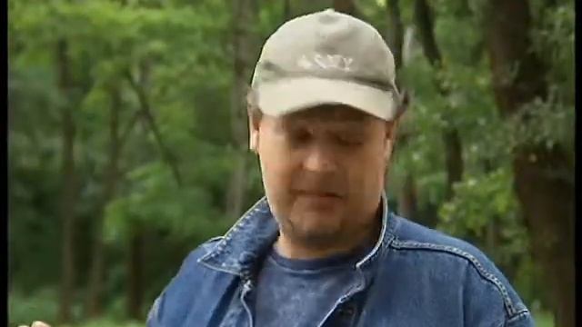 День собаки смотреть онлайн