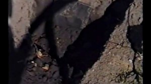 Закладка Виноградника. Выбор места