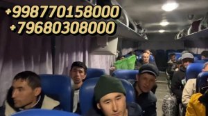 Ташкент Казань автобус. Прямой рейс Ташкент Казань