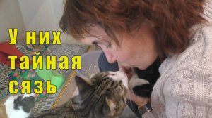 ЭТО ДЕШЕВО - НАДО БРАТЬ / У НИХ ТАЙНАЯ СВЯЗЬ /05 декабря 2024