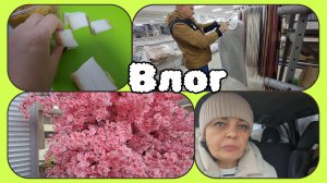 наконец ТО МЫ ИХ КУПИЛИ-чуть не ПОРУГАЛИСЬ