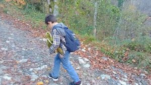 СОЧИ НОЯБРЬ 2024. ЗМЕЙКОВСКИЕ ВОДОПАДЫ МАЦЕСТА. МИР НА ИЗНАНКУ