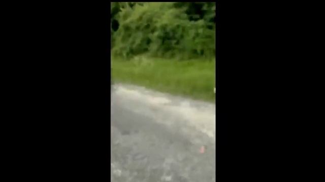 засмеялся проиграл