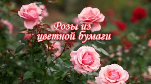 Роза из цветной бумаги