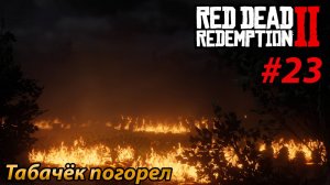 Табачёк погорел l Прохождение Red Dead Redemption 2 l Часть 23