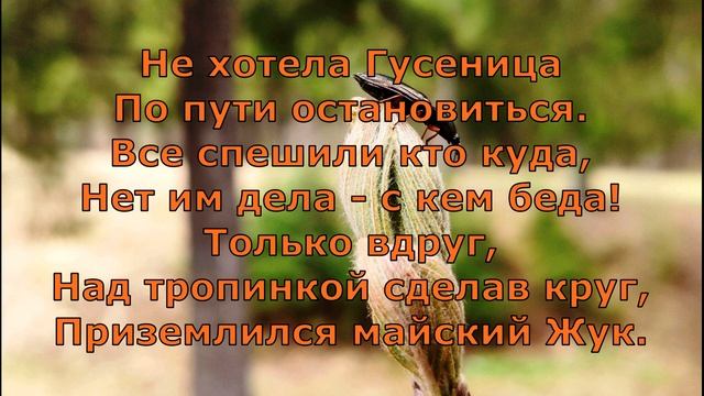 С  Михалков  Толстый жук  #поэты20века #стихидетям  #стихиоживотных