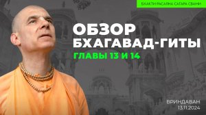 Е.С. Бхакти Расаяна Сагара Свами - Обзор Бхагавад-гиты. Главы 13 и 14 (Вриндаван 13.11.2024г.)