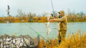 В ЭТОЙ ЯМЕ СТОЯТ ТОННЫ РЫБЫ! ЗАКИНУЛ УДОЧКИ И НАЧАЛОСЬ... ЛОВИТСЯ ПО ТРИ ШТУКИ ЗА РАЗ!