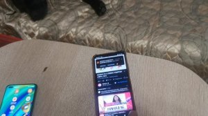RUTUBE Leo Ridge @ Моя Жизнь Кино @ Музей Псов @ TELEGRAM CHIBO