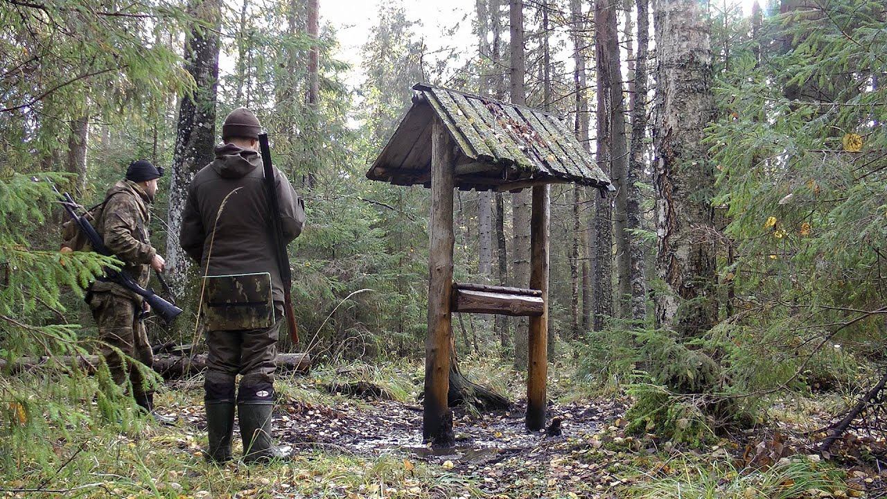 Выход в тайгу по рябчику | Поиск рябчика | Осень 2022