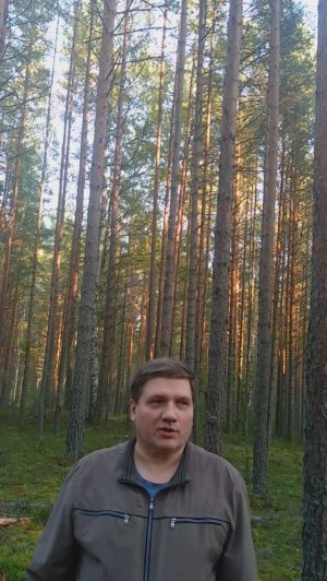 Зов Души