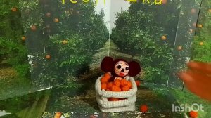 Чебурашка в апельсинах