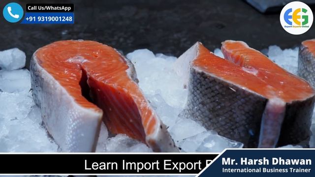 How to Export Sea Food from India | Detailed Information with Packaging and Licence. смотреть онлайн