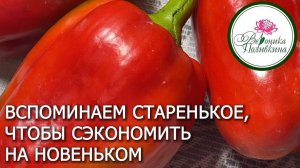 Готовимся к следующему сезону в режиме экономии