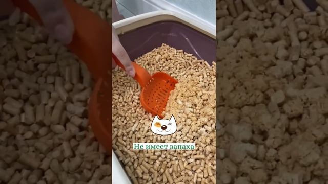 Заказать наш наполнитель вы можете по ссылке https://ozon.ru/t/VajeaZb смотреть онлайн