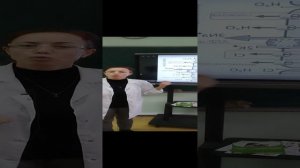 биохимия почек