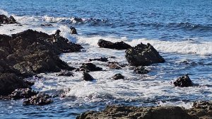 Прогуляемся по берегу моря, а потом я вся опять в закваске! И снова ТОРТ! 🤦