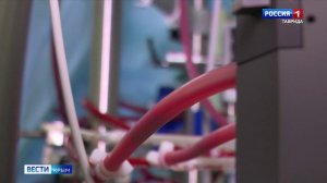 Герои Отечества: истории героических поступков на фронте и в тылу