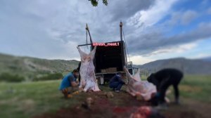 Молодость против опыта / разделка быка на скорость / Дагестан