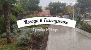 Геленджик, 5 декабря 2024 года, погода