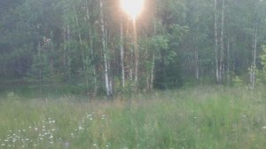 2024 год Июль. 28