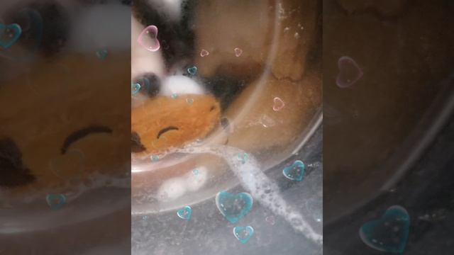Банный день