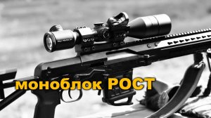 Обзор кронштейна-моноблока РОСТ. Карабин Тигр. Прицелы ВОМЗ OREST 8х50L и Nikon BLACK X1000 4-16X50