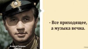 "Журавли" - исполняет позывной "Маэстро", в зоне СВО