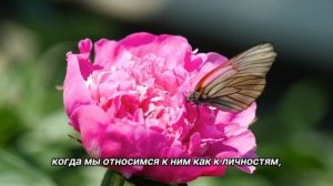 "Роли на работе". 19 декабря. Мелоди Битти. Ежедневник для созависимых.