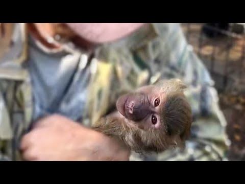 Обезьянка Люся так обрадовалась Владу, что перестала контролировать эмоции!