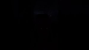 мой первый влог