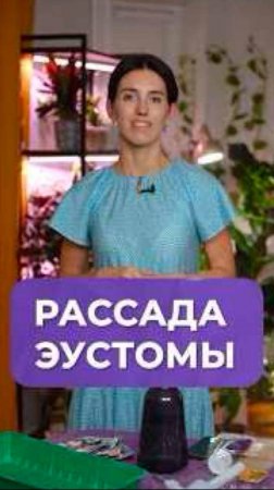 Секреты крепкой рассады эустомы! #растения #уход #садоводство