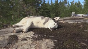 Отпуск 2020 ч. 2.