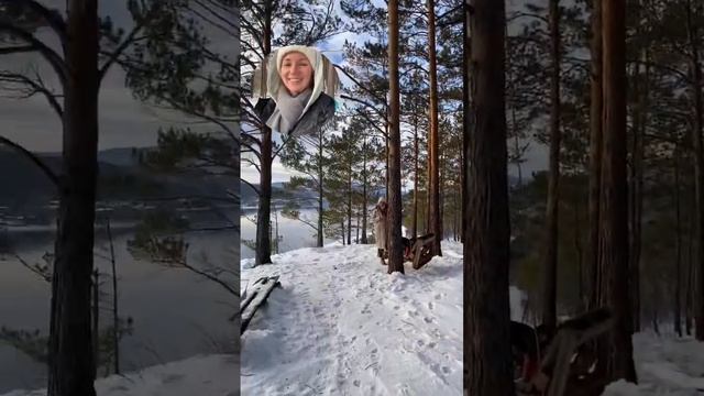 Собака кидается на людей. Можно ли её исправить и обучить? 1.5 года возраст смотреть онлайн