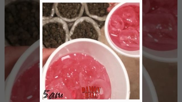 Cats On Mars смотреть онлайн