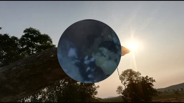 Ear Wax Removal Eps#286 || чистка ушной серы #286 смотреть онлайн